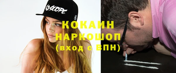 гашик Каменногорск
