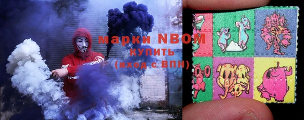 гашик Каменногорск