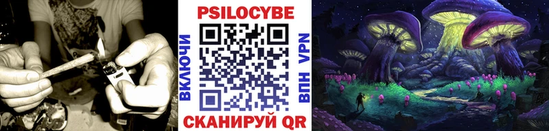 Псилоцибиновые грибы Psilocybe  Беслан 