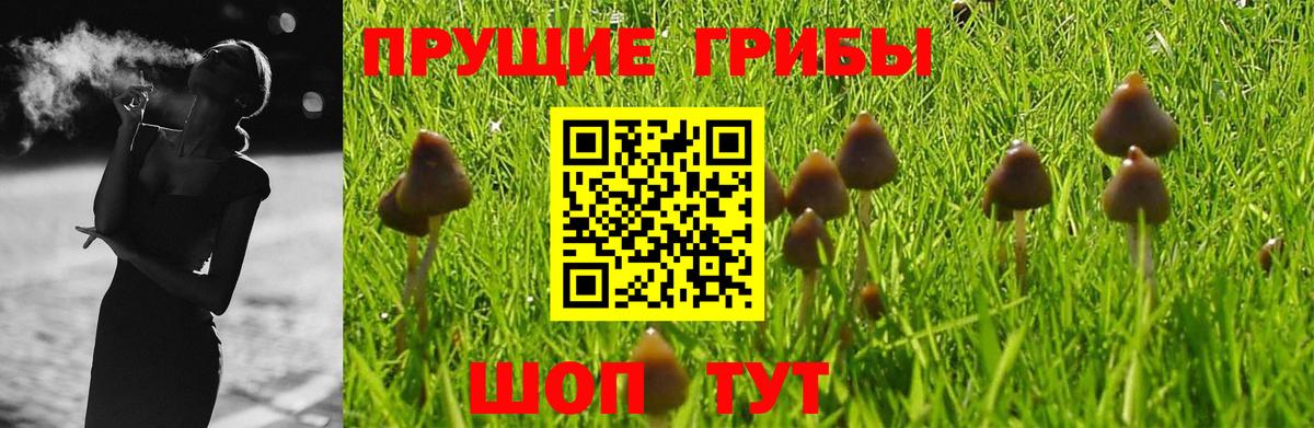 Псилоцибиновые грибы GOLDEN TEACHER  Беслан 